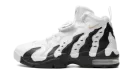 Air DT Max '96 "Colorado Away" HM9236 100