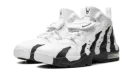Air DT Max '96 "Colorado Away" HM9236 100