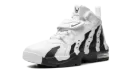 Air DT Max '96 "Colorado Away" HM9236 100