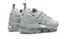 Air Vapormax Plus "Grey" 924453 005