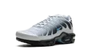 Air Max Plus "Grey University Blue Black" DM0032 015
