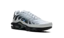 Air Max Plus "Grey University Blue Black" DM0032 015