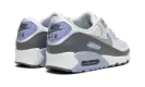 AIR MAX 90 WMNS "Cobalt Bliss" FB8570 100