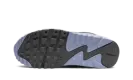 AIR MAX 90 WMNS "Cobalt Bliss" FB8570 100