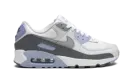 AIR MAX 90 WMNS "Cobalt Bliss" FB8570 100