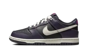 Dunk Low GS "Dark Raisin" FB9109 003