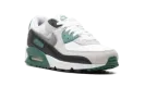 Air Max 90 "Evergreen Aura" DM0029 116
