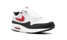 Air Max 1 "Chili 2.0" FD9082 101