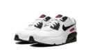 Air Max 90 LTR SE 2 "Very Berry" DH2605 100