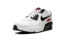 Air Max 90 LTR SE 2 "Very Berry" DH2605 100
