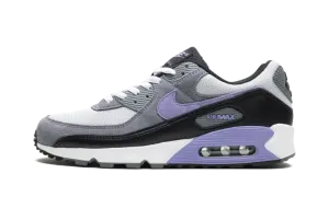 Air Max 90 "Light Thistle" DM0029 014