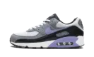 Air Max 90 "Light Thistle" DM0029 014