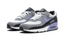 Air Max 90 "Light Thistle" DM0029 014