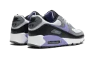 Air Max 90 "Light Thistle" DM0029 014