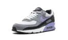 Air Max 90 "Light Thistle" DM0029 014
