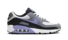 Air Max 90 "Light Thistle" DM0029 014