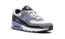 Air Max 90 "Light Thistle" DM0029 014