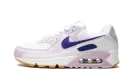 AIR MAX 90 WMNS DX3316 100