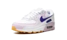 AIR MAX 90 WMNS DX3316 100