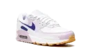AIR MAX 90 WMNS DX3316 100