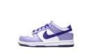 Dunk Low PS "Blueberry" DZ4457 100