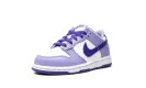 Dunk Low PS "Blueberry" DZ4457 100