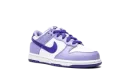Dunk Low PS "Blueberry" DZ4457 100