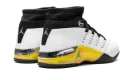 Air Jordan 17 Low "Lightning" FJ0395 100