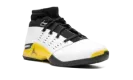 Air Jordan 17 Low "Lightning" FJ0395 100