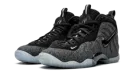 Little Posite Pro (GS) "Wool Fleece" 644792 008