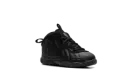 Air Foamposite One TD " "Anthracite" FN7315 001