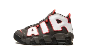 Air More Uptempo GS "Brown Bulls" DH9719 200