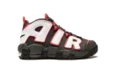 Air More Uptempo GS "Brown Bulls" DH9719 200