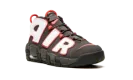 Air More Uptempo GS "Brown Bulls" DH9719 200
