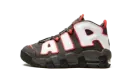 Air More Uptempo GS "Brown Bulls" DH9719 200