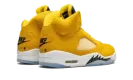 Air Jordan 5 Retro PE "Michigan" DJ4954 997021