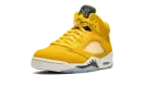 Air Jordan 5 Retro PE "Michigan" DJ4954 997021