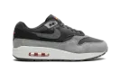 Nike Air Max 1 PRM "Smoke Grey" HJ9292 070