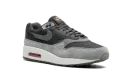 Nike Air Max 1 PRM "Smoke Grey" HJ9292 070