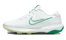 VICTORY PRO 3 Golf "Stadium Green" DV6800 103