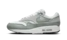 Air Max 1 "White Mica Green" DZ4549 100