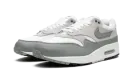 Air Max 1 "White Mica Green" DZ4549 100