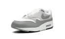 Air Max 1 "White Mica Green" DZ4549 100