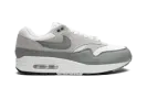 Air Max 1 "White Mica Green" DZ4549 100
