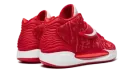 KD 14 TB "University Red" DM5040 603