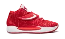 KD 14 TB "University Red" DM5040 603