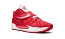 KD 14 TB "University Red" DM5040 603