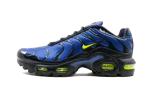 Air Max Plus (GS) CD0609 401