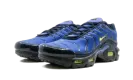 Air Max Plus (GS) CD0609 401