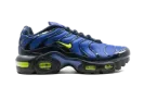 Air Max Plus (GS) CD0609 401